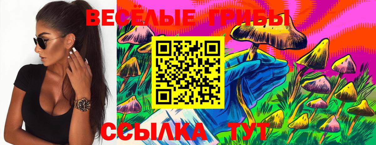 Псилоцибиновые грибы ЛСД Волжский
