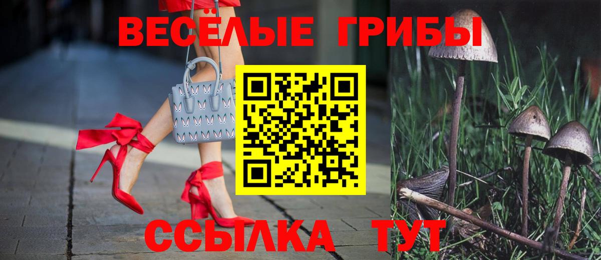 Псилоцибиновые грибы Magic Shrooms  Галлюциногенные грибы Psilocybine cubensis  Волжский  Вход с VPN 